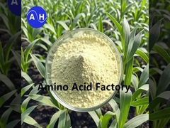 Φυτικά υδρολυσμένα πλούσια σε πεπτίδια και αμινοξέα με ενζυμική και ζύμωση