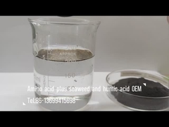 Αμινοξέα ανάμειξη με φύκια και χουμικό οξύ σύνθετα λιπάσματα ως φυλλώδη ψεκασμό & άρδευση