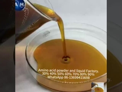 Οργανικό μολυβδένιο Αμινοξέα Χηλατισμένα ορυκτά