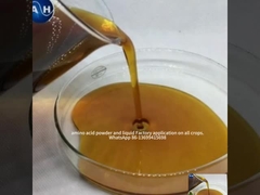 Αμινοξέα Χελατισμένο Ποτάσιο για το χρώμα των φρούτων Προώθηση της ανάπτυξης του κόκκινου χρώματος