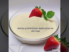 70% λιπάσματα με βάση αμινοξέα 100% υδατοδιαλυτά λιπάσματα