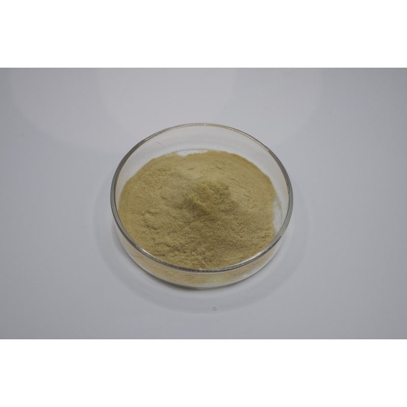 Τελευταία εταιρικά blogs για From Fermentation to Quality Testing: A Technical Guide to Evaluating 90% Fertilizer Grade Amino Acid Powder