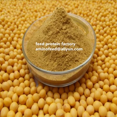 Αγορά Non-GMO Soy Protein Concentrate with 50% Protein Highly Digestible for Poultry and Aquatic Animals online manufacture