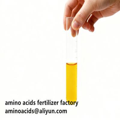 Αγορά Hydrolyzed Vegetable Free Amino Acids 80% Liquid Form For Organic Farming    online manufacture