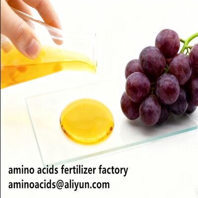 Αγορά Amino Acid 80% Liquid Hydrolyzed Fertilizer with Free Amino Acid ≥750g/L Total Nitrogen ≥12.0% and High Solubility for Organic Farming online manufacture
